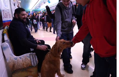 Mission CISD welcomes its first therapy dog to students, staff