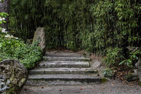 Stone Steps Garden Free Stock Photo - Public Domain Pictures