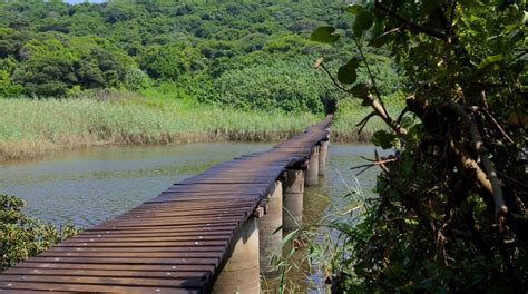 Umhlanga Lagoon Nature Trail Tours - Book Now | Expedia