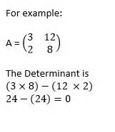 Singular Matrix | Definition, Properties & Example - Lesson | Study.com