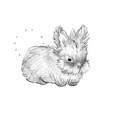 Cute and chubby bunny drawings - Buns by Mari