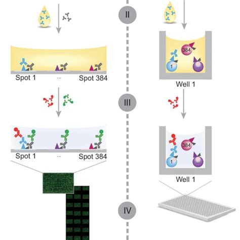 1.1 Three categories of protein microarrays. (A) Analytical protein... | Download Scientific Diagram