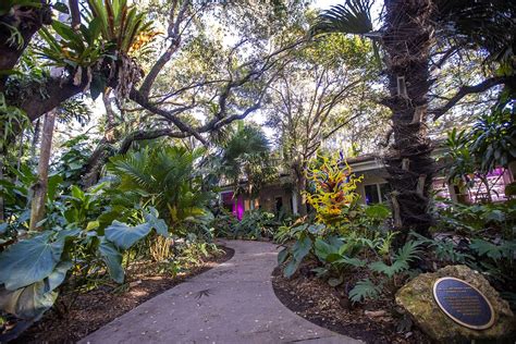 Fairchild Botanic Tropical Garden in Miami – Florida Vacation Auction