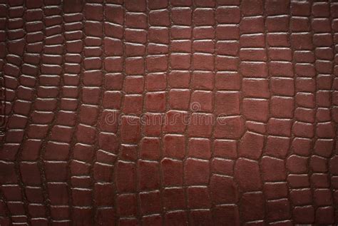 Crocodile skin pattern stock photo. Image of artificial - 14773220