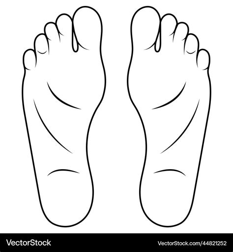 Man foot drawing cartoon shoe size foot anatomy Vector Image