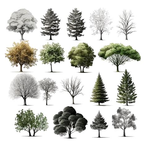 Isolated Trees Set On Transparent Background Psd Image, Tree, Tree Set, Trees PNG Transparent ...