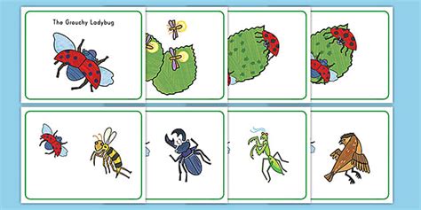 The Grouchy Ladybug Story Cards (Teacher-Made) - Twinkl