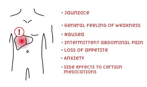 Gilbert's Syndrome GS; Causes, Symptoms, Diagnosis & Treatment