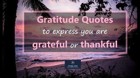 Gratitude Quotes to express you are grateful or thankful | Gratitude quotes, Thankful quotes ...