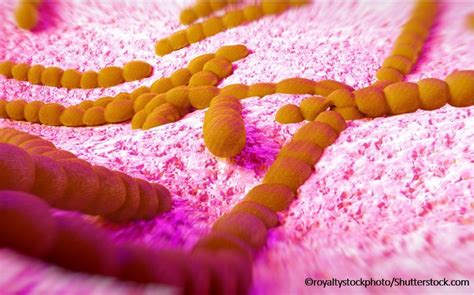 Merck & Co 21-valent Pneumococcal Conjugate Vaccine Ready for Phase III