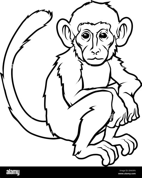 An illustration of a stylised monkey perhaps a monkey tattoo Stock ...