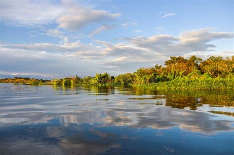 Sunset In The Amazon Rainforest, Manaos, Brazil Stock Photo - Image: 62445334