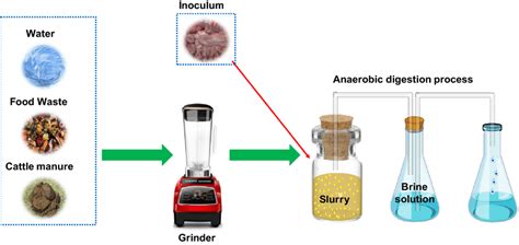 Schematic diagram of complete biogas generation process | Download Scientific Diagram