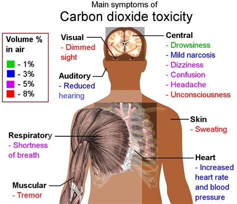 Signs And Symptoms Of Gas