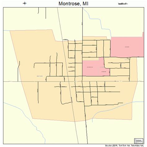 Montrose Michigan Street Map 2655280