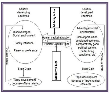 Proposed conceptual model on the causes, costs, and impacts of brain drain | Download Scientific ...