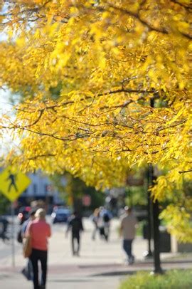 Top places to capture the scenes of autumn around Ann Arbor