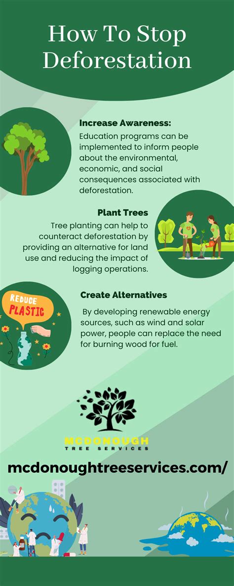 How To Stop Deforestation