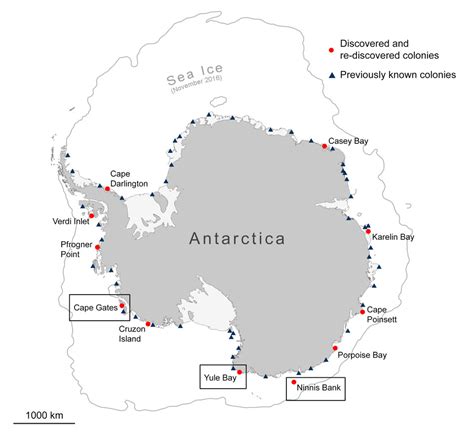 ESA - Discovering new penguin colonies from space