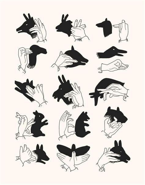 Shadow Puppets Print | Hand shadows, Shadow puppets, Shadow puppets with hands