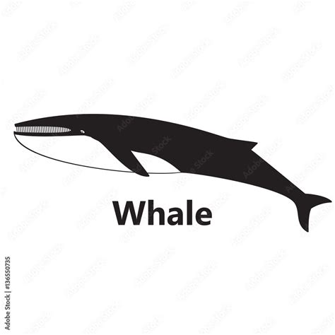 Whale silhouette on the white background black text Stock Vector ...