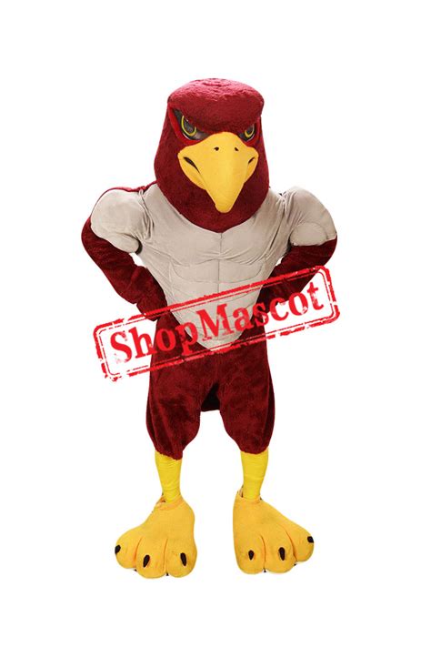 Power Falcon Mascot Costume