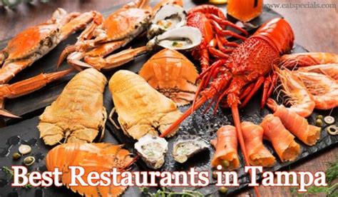 What are the Best Restaurants in Tampa? Delicious Sea Food