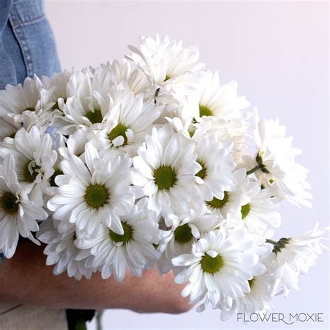 Bulk Flowers Online: Fresh Wholesale Flowers By The Bunch — Flower Moxie