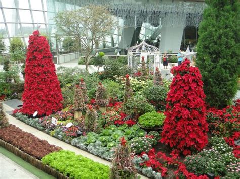 Christmas display - Picture of Flower Dome, Singapore - TripAdvisor