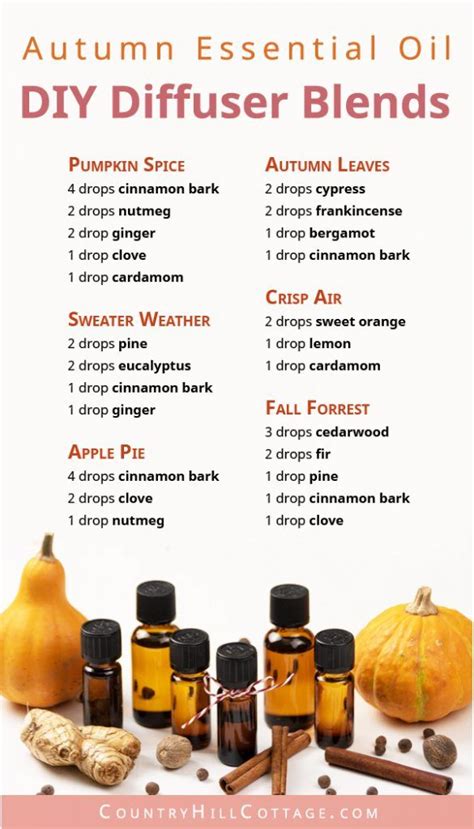 Essential Oil Blends for Fall – 6 DIY Autumn Diffuser Blend Recipes | Essential oil diffuser ...