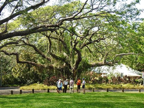 Walk the Botanic Gardens - Walk Darwin Pty Ltd Reservations