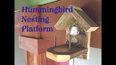 Hummingbird Nesting Box Feeders & Birdhouses Outdoor & Gardening trustalchemy.com