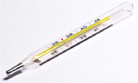 11 Types of Thermometers and Their Functions - YaleTools