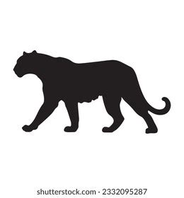 Leopard Silhouette Isolated On White Stock Vector (Royalty Free) 2332095287 | Shutterstock