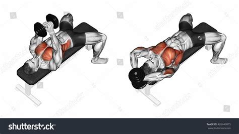 Link dumbbells from behind the head. 3D illustration | Chest workouts, Dumbbell workout, Gym ...