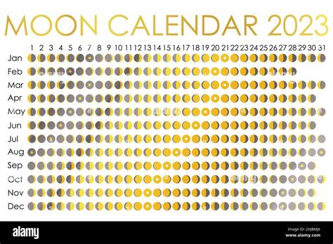 2023 Moon calendar. Astrological calendar design. planner. Place for ...