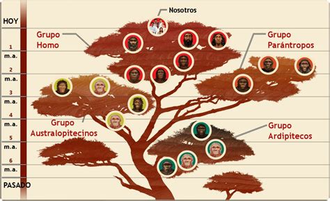 Un árbol genealógico es una representación gráfica que enlista los antepasados y los ...