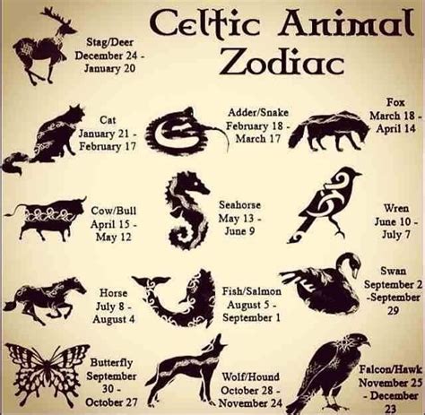 Celtic Animal