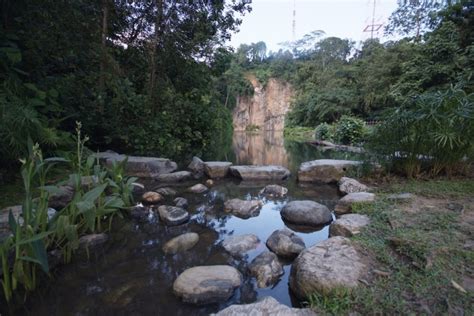 Bukit Timah Nature Reserve | Tickikids Singapore