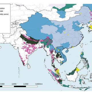 Map illustrating the spread of African swine fever (ASF) across Asia in... | Download Scientific ...