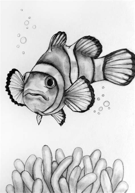 Realistic Fish Drawing Outline Similarly draw a horizontal line equally dividing the bottom half ...