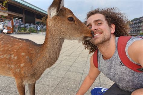 The Magic of Japan's Miyajima (Deer) Island - TravelledMatt