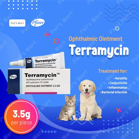 TERRAMYCIN 3.5g Ophthalmic Ointment for Dog Cat Conjunctiva for Pets ...