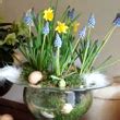 Flower Craft Workshop | Flower Craft Workshop, Tenterden - Home