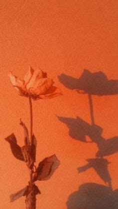 Pin by Teresa Ruschmeyer on Inspirations | Orange aesthetic, Scenery, Photo