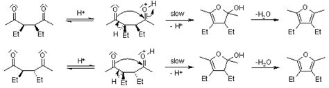 Paal-Knorr Furan Synthesis