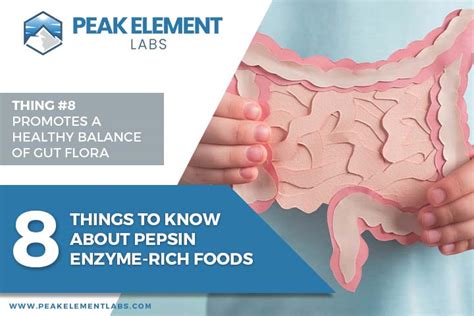 8 Things To Know About Pepsin Enzyme-Rich Foods - Peak Element Labs