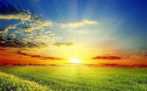 Sunshine HD Wallpapers - Top Free Sunshine HD Backgrounds - WallpaperAccess