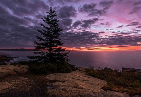 Sunrise, Acadia National Park Photograph by Jack Milton - Fine Art America