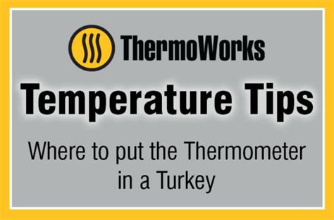 Where to put the Thermometer in a Turkey